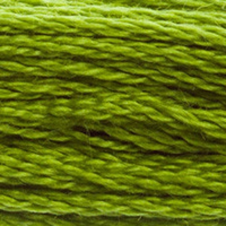 Fil Mouliné DMC Gold Concept 8M Col. 581 Broderie et Point de Croix