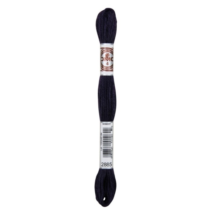Fil Retors DMC Col. 2885 Canevas et tapisserie