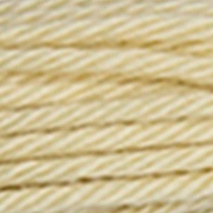 Fil Retors DMC Col. 2579 Canevas et tapisserie