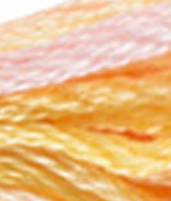 Fil Mouliné DMC Variation...