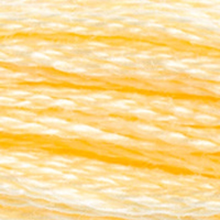 Fil Mouliné DMC Gold Concept 8M Col. 745 Broderie et Point de Croix