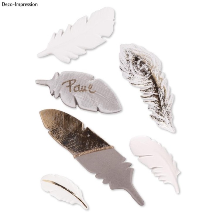 Moule: Plumes, 6motifs, 6-14,5x2,5-4,3cm, 1pce.