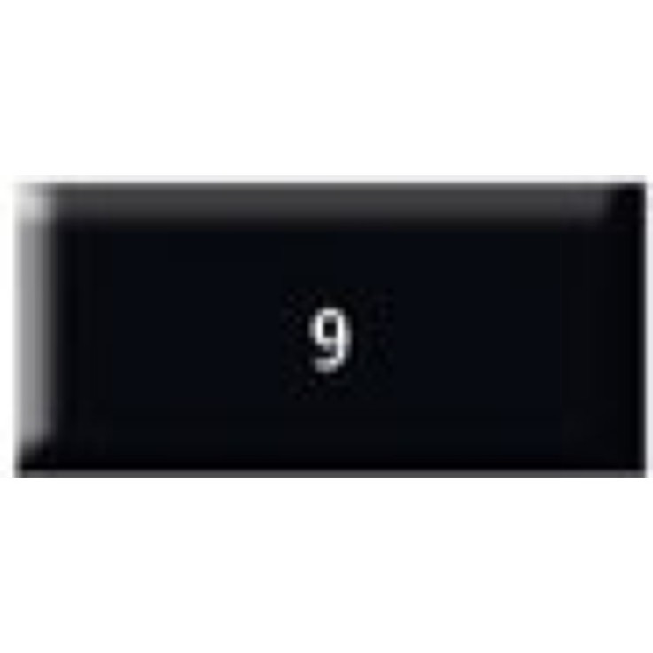 Pâte Fimo Professional 454 g Noir 8041.9
