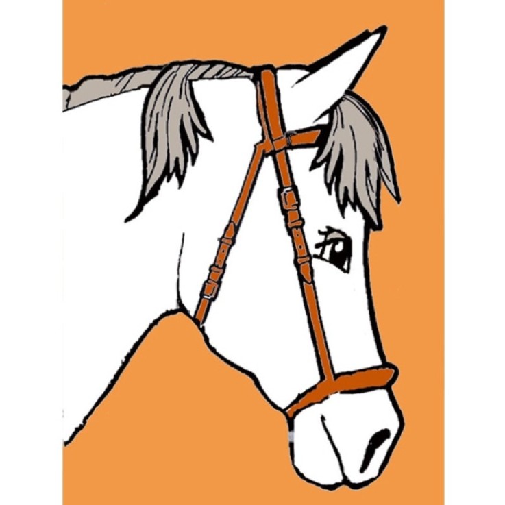 Kit canevas enfant Cheval 20x25cm