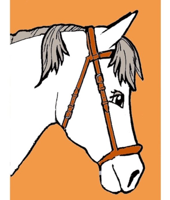 Kit canevas enfant Cheval...