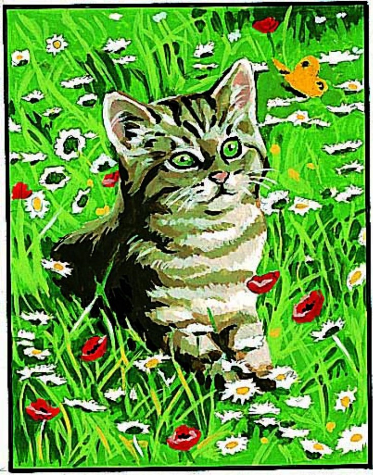 Kit Canevas Chat 20x25 cm