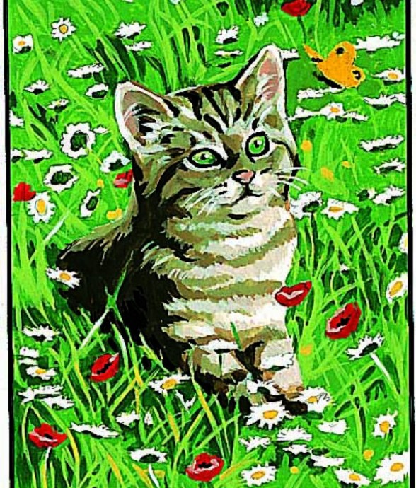 Kit Canevas Chat 20x25 cm