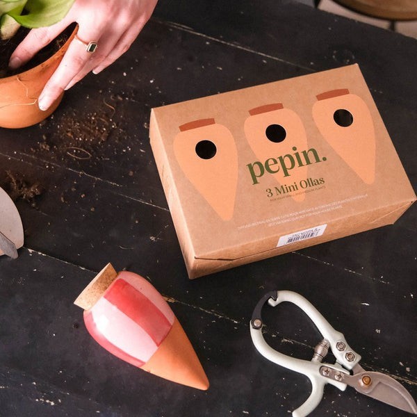 Trio Ollas Naturelles Mini Diffuseurs d'eau pour plantes - Les rayées
