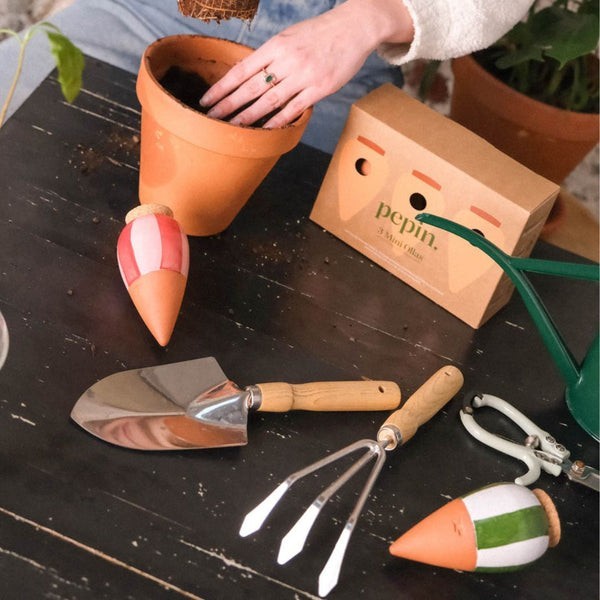 Trio Ollas Naturelles Mini Diffuseurs d'eau pour plantes - Les rayées