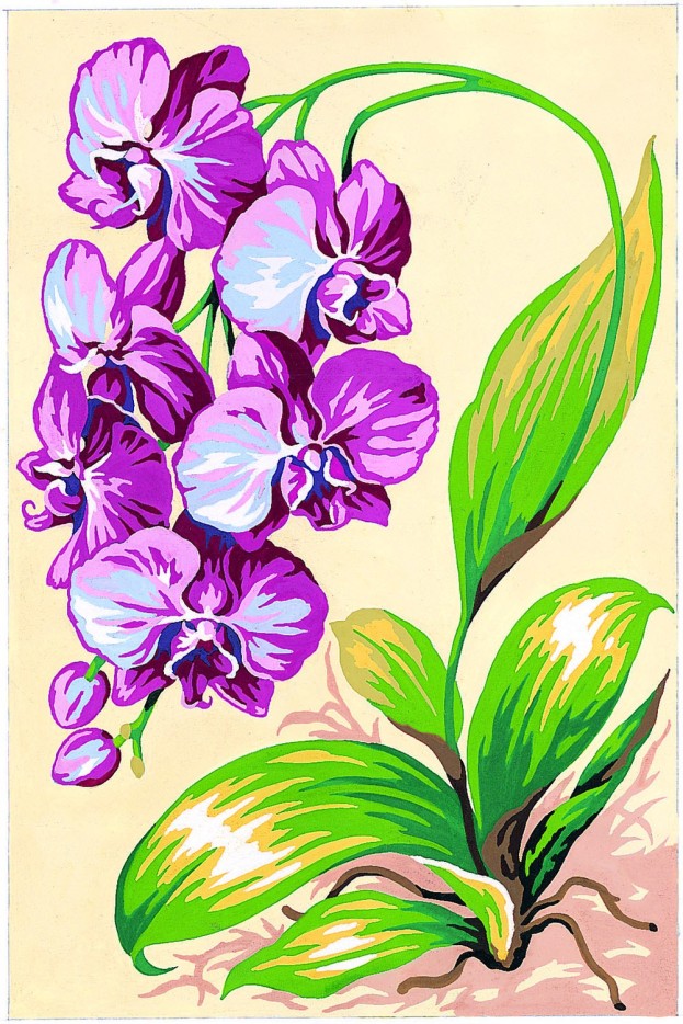 Canevas antique Orchidées 30x40cm