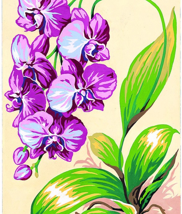 Canevas antique Orchidées...