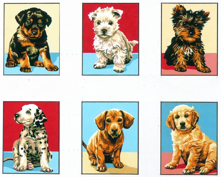 Kit Série Chiots 20x25 6 modèles
