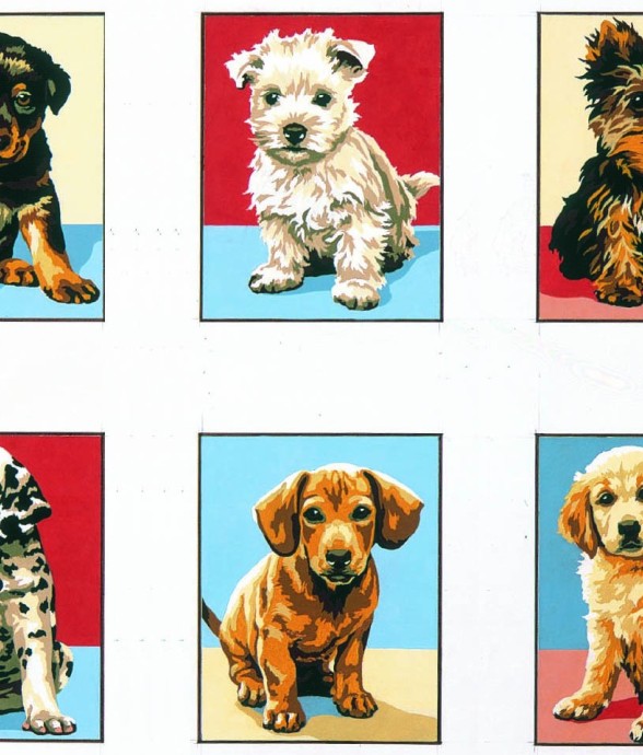 Kit Série Chiots 20x25 6...