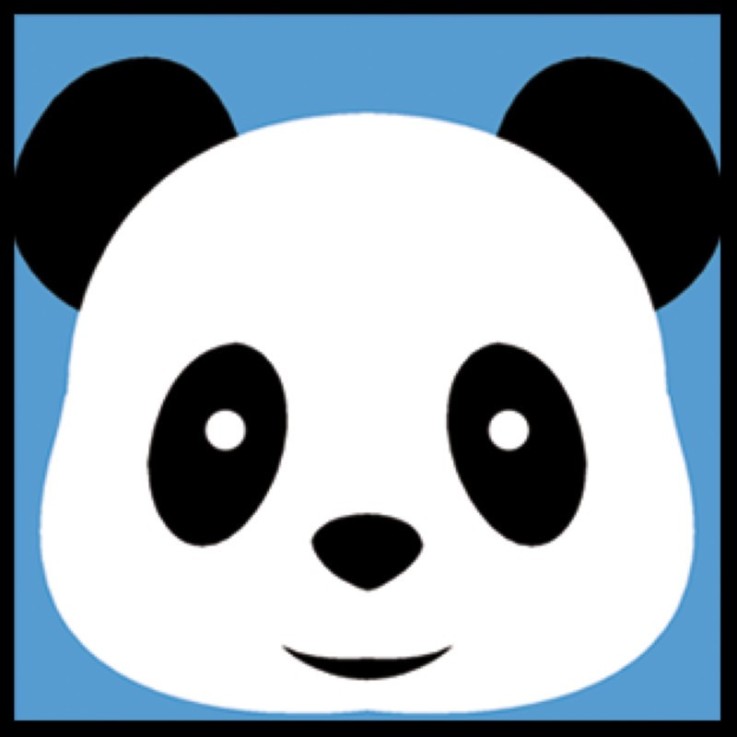Kit canevas soudan enfant Panda