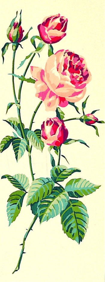Canevas antique Rose 25x60cm