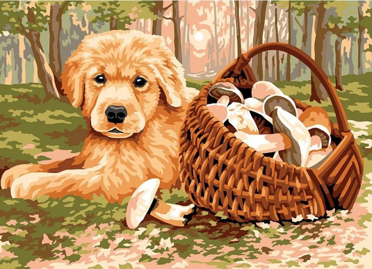 CANEVAS PÉNÉLOPE SEG 45X60
