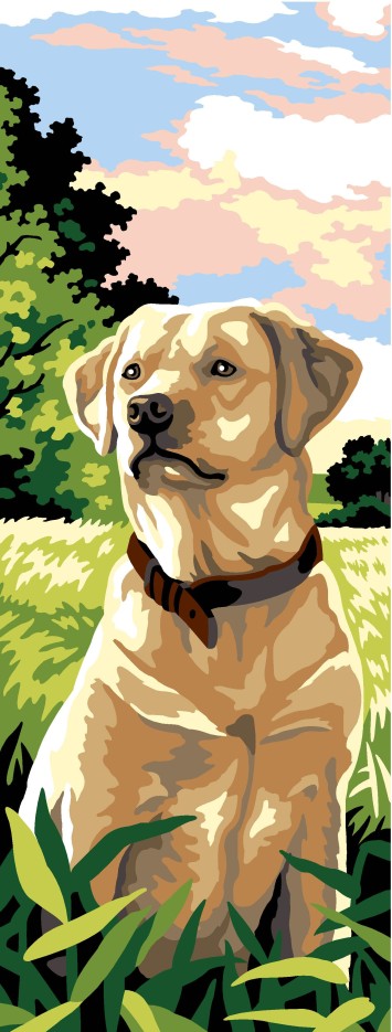 CANEVAS PÉNÉLOPE SEG 25X60