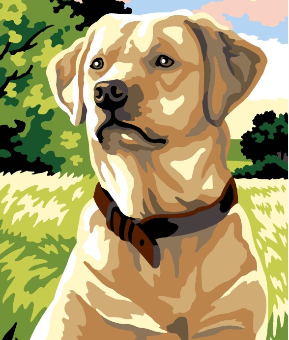 CANEVAS PÉNÉLOPE SEG 25X60