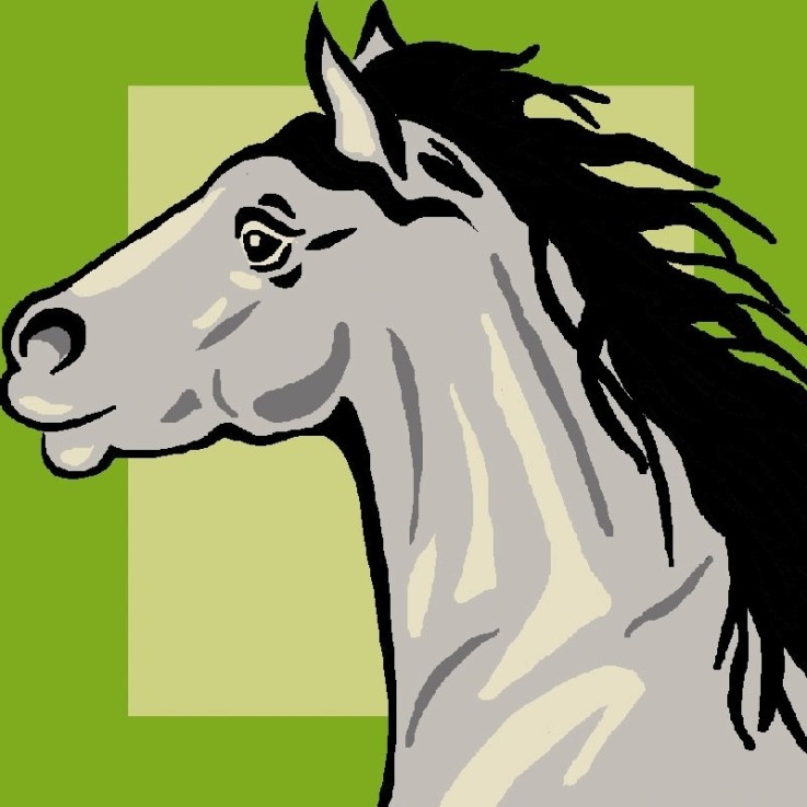 Kit canevas Soudan 25x25cm Cheval
