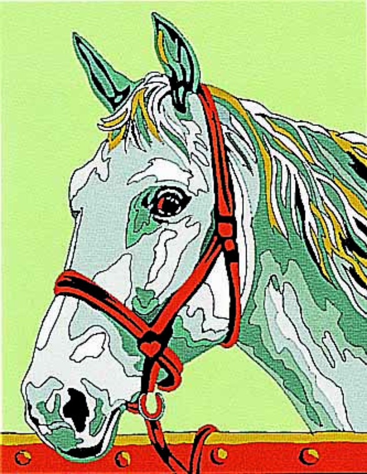 Kit canevas Cheval 20x25cm