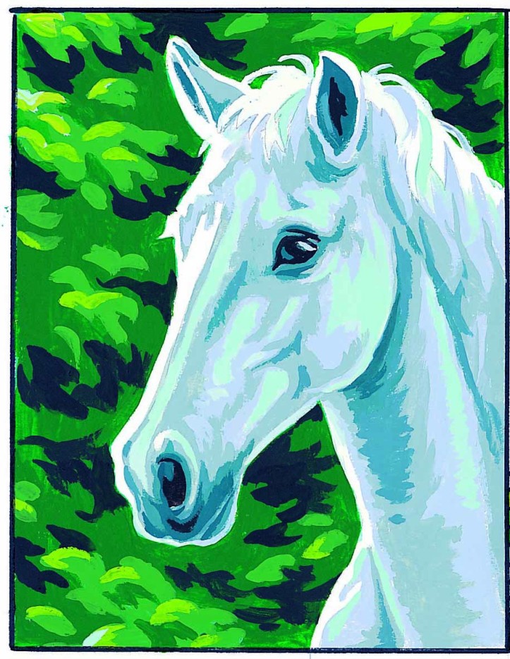 Kit canevas blanc Cheval blanc 20x25cm