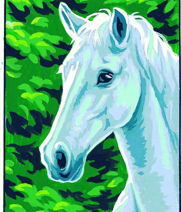Kit canevas blanc Cheval...