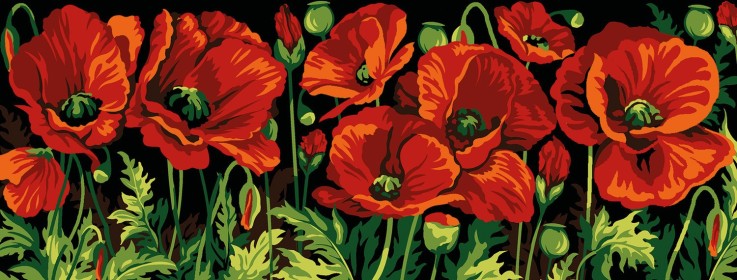 Canevas antique Coquelicots 25x60cm
