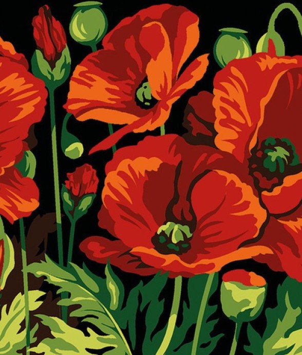 Canevas antique Coquelicots...