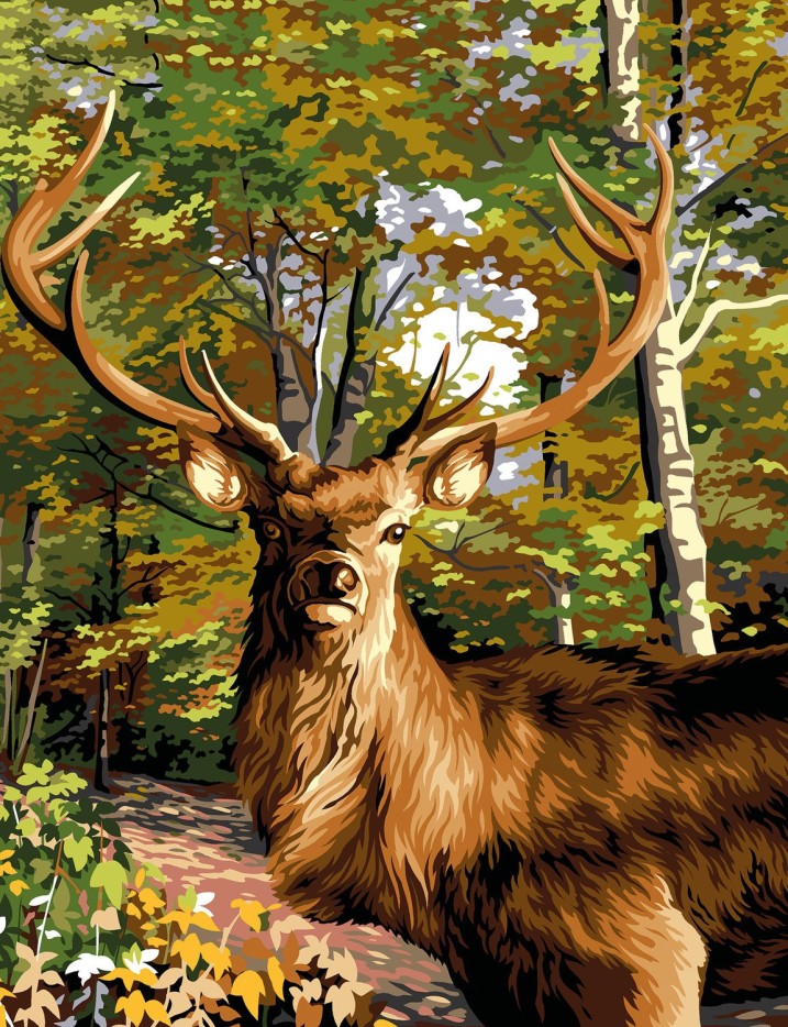 Canevas Margot Le Prince Des Bois 50x65 cm