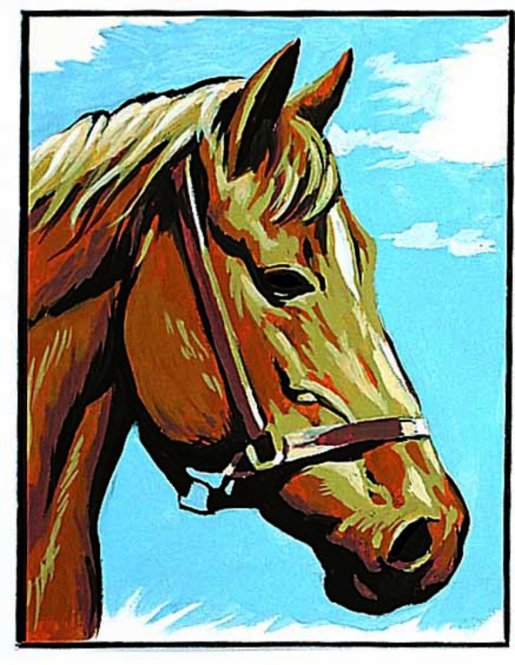 Kit canevas blanc Le Cheval 20x25cm