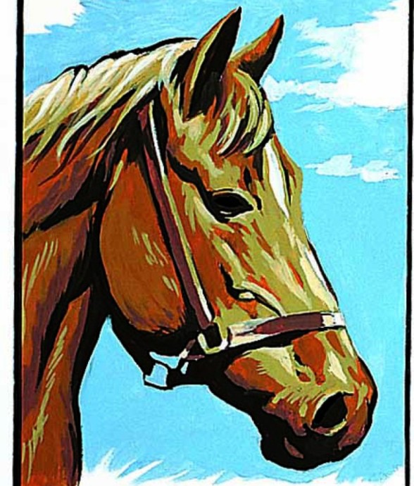 Kit canevas blanc Le Cheval...