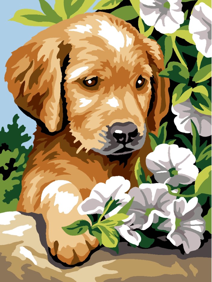 CANEVAS PENELOPE 40X50
