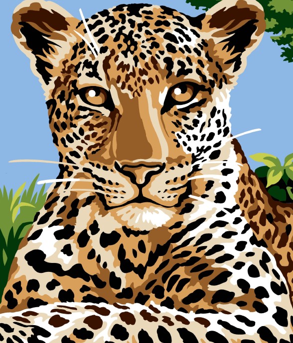 CANEVAS PÉNÉLOPE SEG 45X60