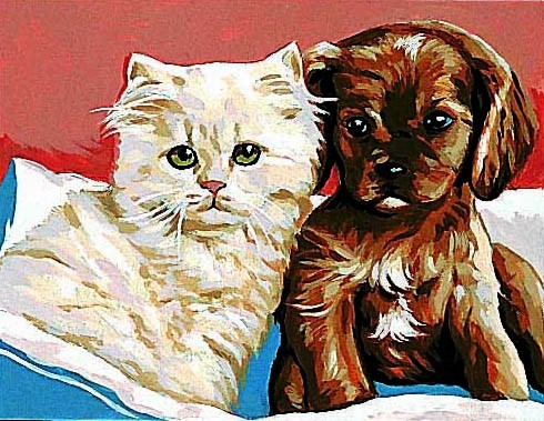 CANEVAS BLANC 20X25
