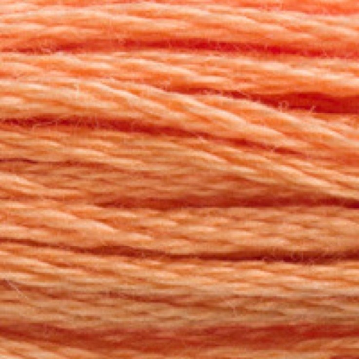 Fil Mouliné DMC Gold Concept 8M Col. 402 Broderie et Point de Croix