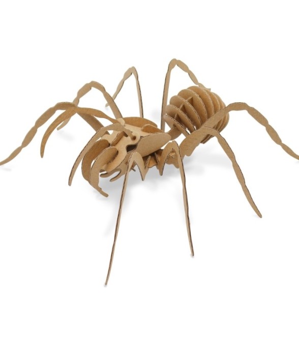 Maquette en carton Araignée...