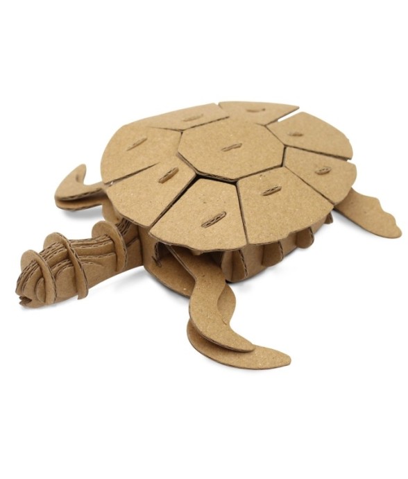 Maquette en carton Tortue...