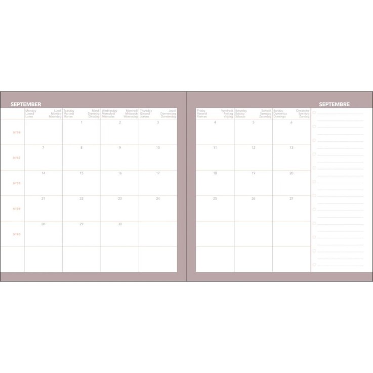 Agenda scolaire 2026-2027 - Exécutif sept Color - Semainier Planning - Céleste Bleu - 16x16cm