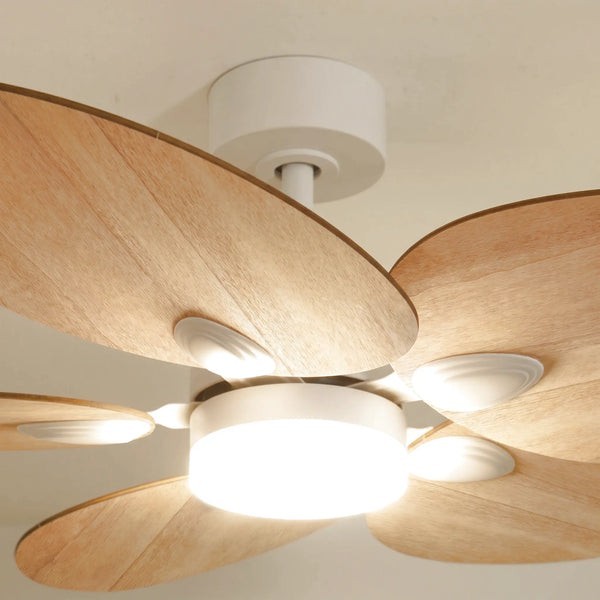 Ventilateur de plafond avec lumière Dahlia teinté Chêne