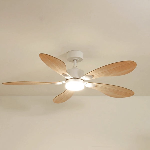 Ventilateur de plafond avec lumière Libellule teinté Chêne