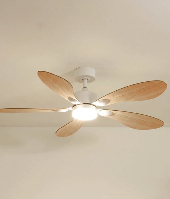 Ventilateur de plafond avec...