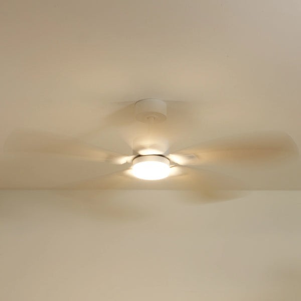 Ventilateur de plafond avec lumière Libellule teinté Chêne