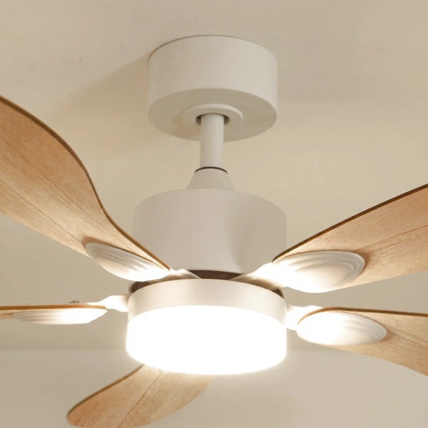 Ventilateur de plafond avec lumière Libellule teinté Chêne