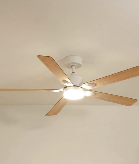 Ventilateur de plafond avec...