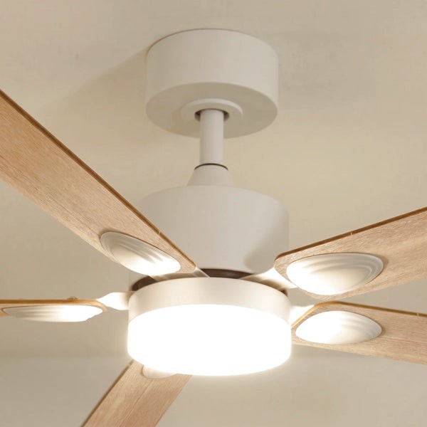 Ventilateur de plafond avec lumière Mistral teinté Chêne