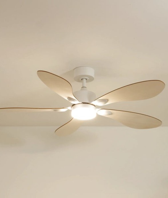 Ventilateur de plafond avec...