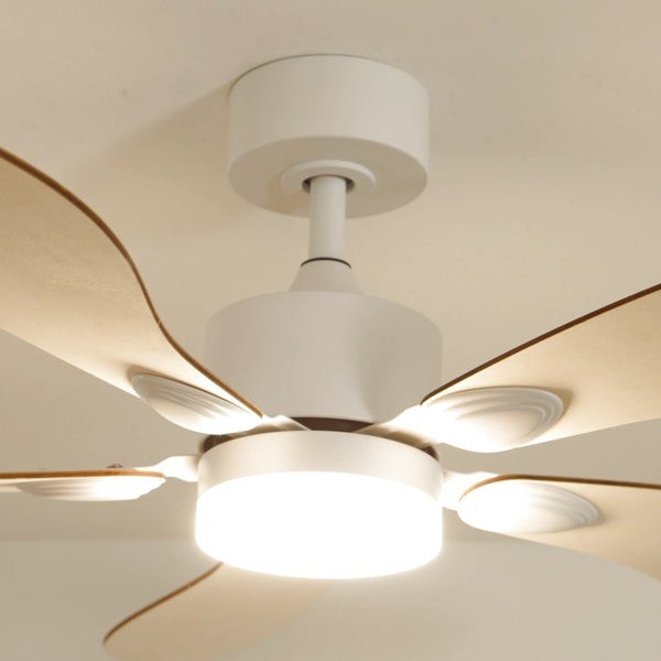 Ventilateur de plafond avec lumière Libellule en bois clair