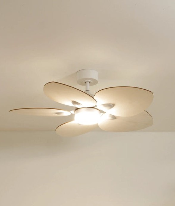 Ventilateur de plafond...