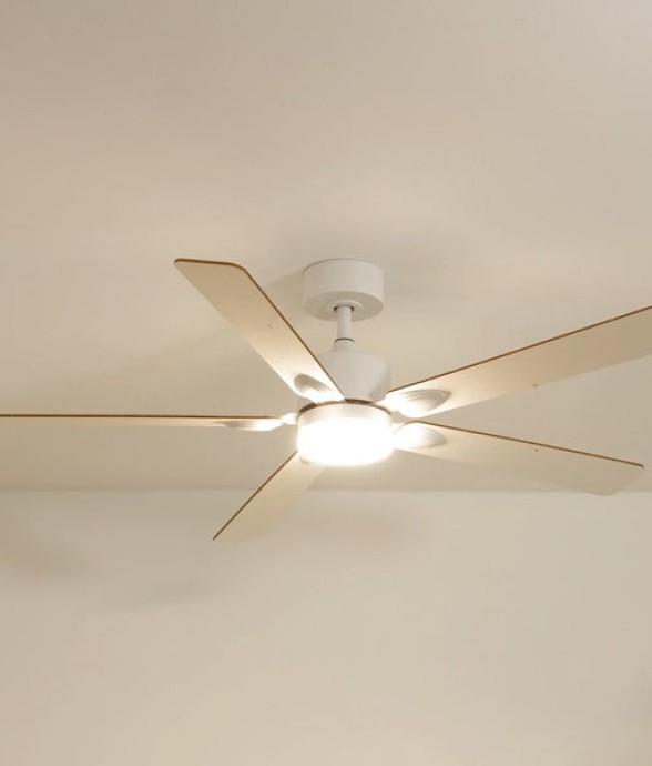 Ventilateur de plafond avec...