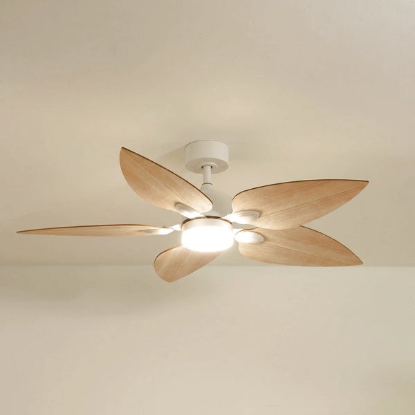 Ventilateur de plafond avec lumière Virevole teinté Chêne